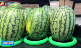 潍坊吃瓜最新爆料视频曝光,最新爆料视频曝光惊人内幕